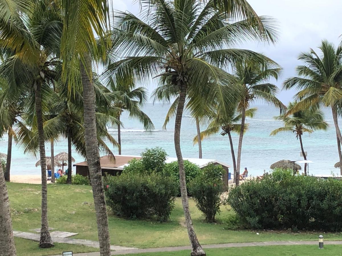 Brin D'Ile Anse Des Rochers Vue Mer A 50 M De La Plage Et Piscine Saint-Francois  Eksteriør billede