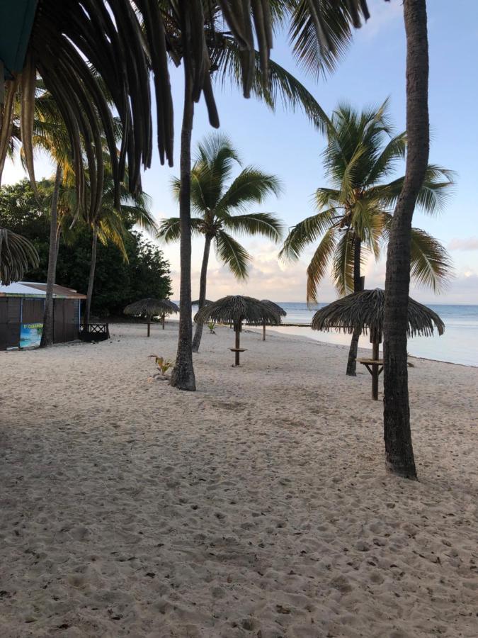 Brin D'Ile Anse Des Rochers Vue Mer A 50 M De La Plage Et Piscine Saint-Francois  Eksteriør billede