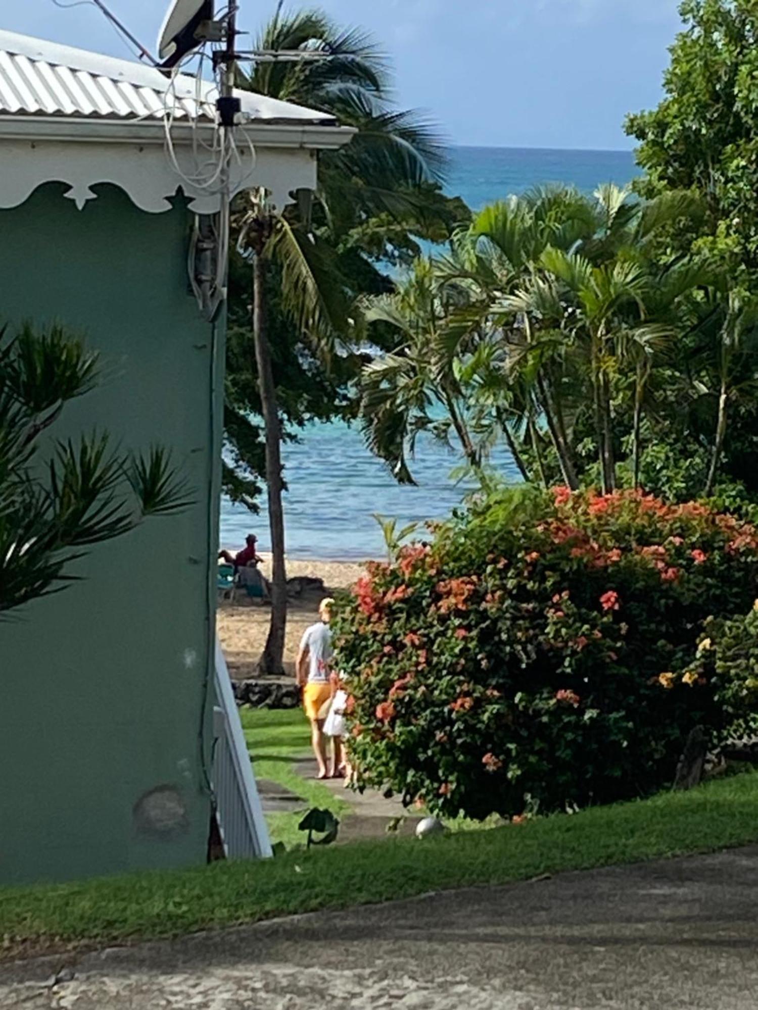 Brin D'Ile Anse Des Rochers Vue Mer A 50 M De La Plage Et Piscine Saint-Francois  Eksteriør billede