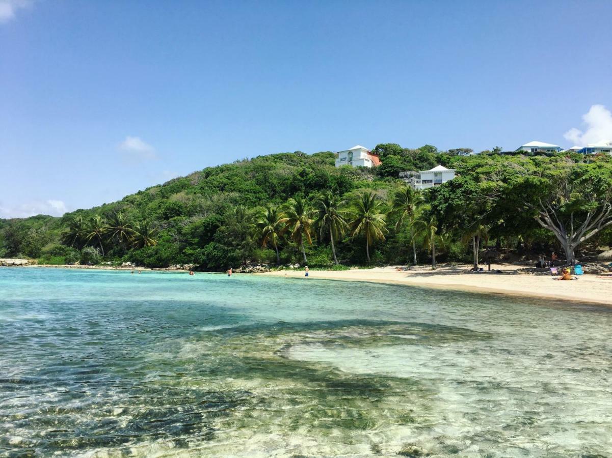 Brin D'Ile Anse Des Rochers Vue Mer A 50 M De La Plage Et Piscine Saint-Francois  Eksteriør billede